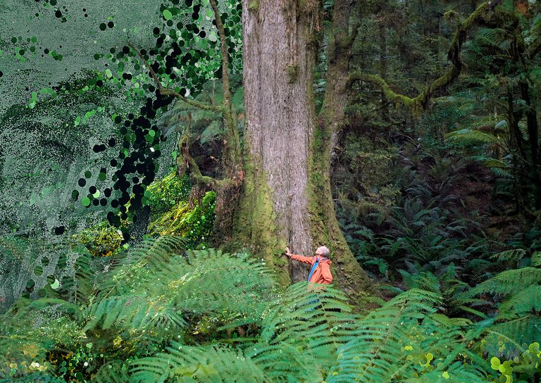 Filmstill "The Giants"